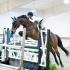 Jaeckle Centre Spring Classic
